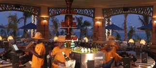 atlantis the palm